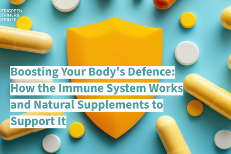 Boosting Your Body's Defence: How the Immune System Works and Natural Supplements to Support It