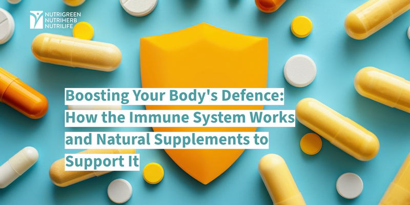 Boosting Your Body's Defence: How the Immune System Works and Natural Supplements to Support It