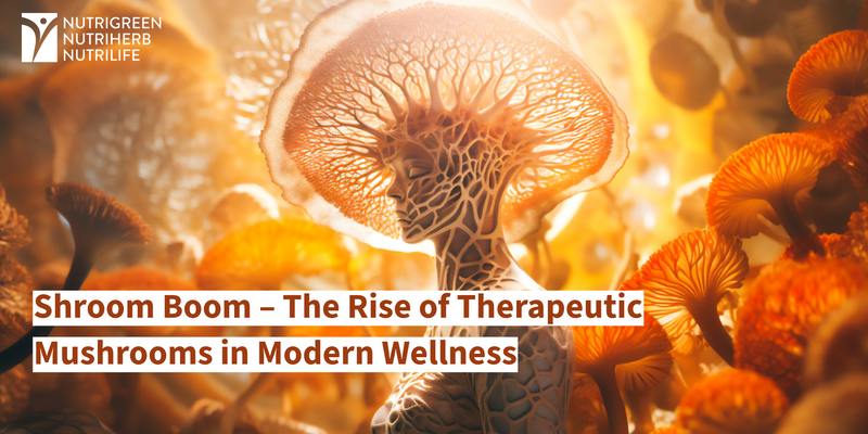 Shroom Boom – The Rise of Therapeutic Mushrooms in Modern Wellness