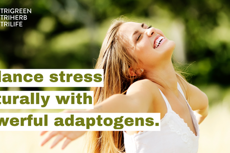 Adaptogens: What They Are and How They May Support Your Well-being