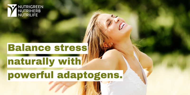 Adaptogens: What They Are and How They May Support Your Well-being