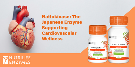 Nattokinase: The Japanese Enzyme Supporting Cardiovascular Wellness