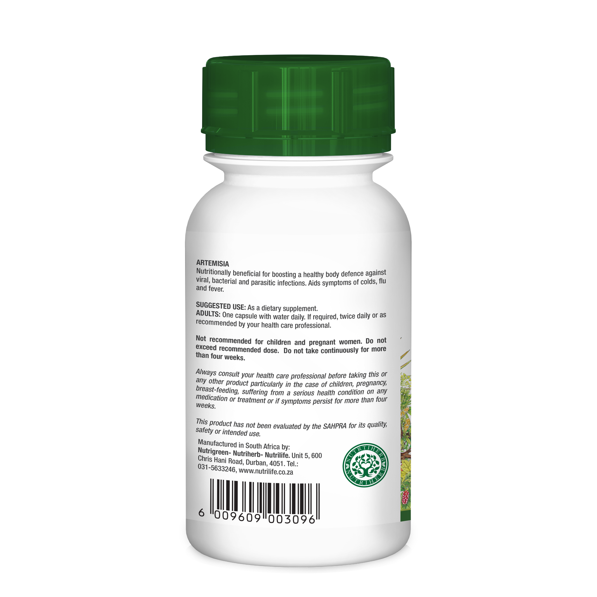 Artemisia Afra / Annua Blend