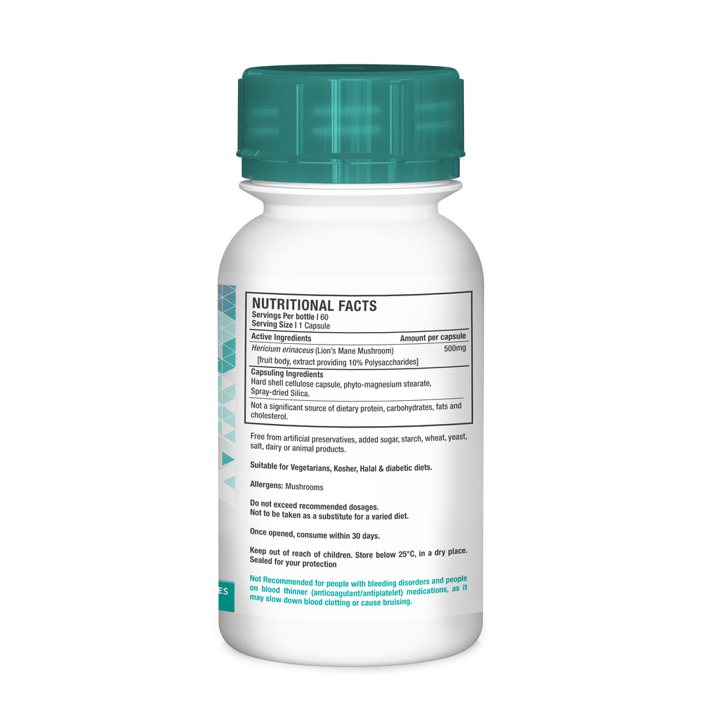 Lion's Mane Mushroom