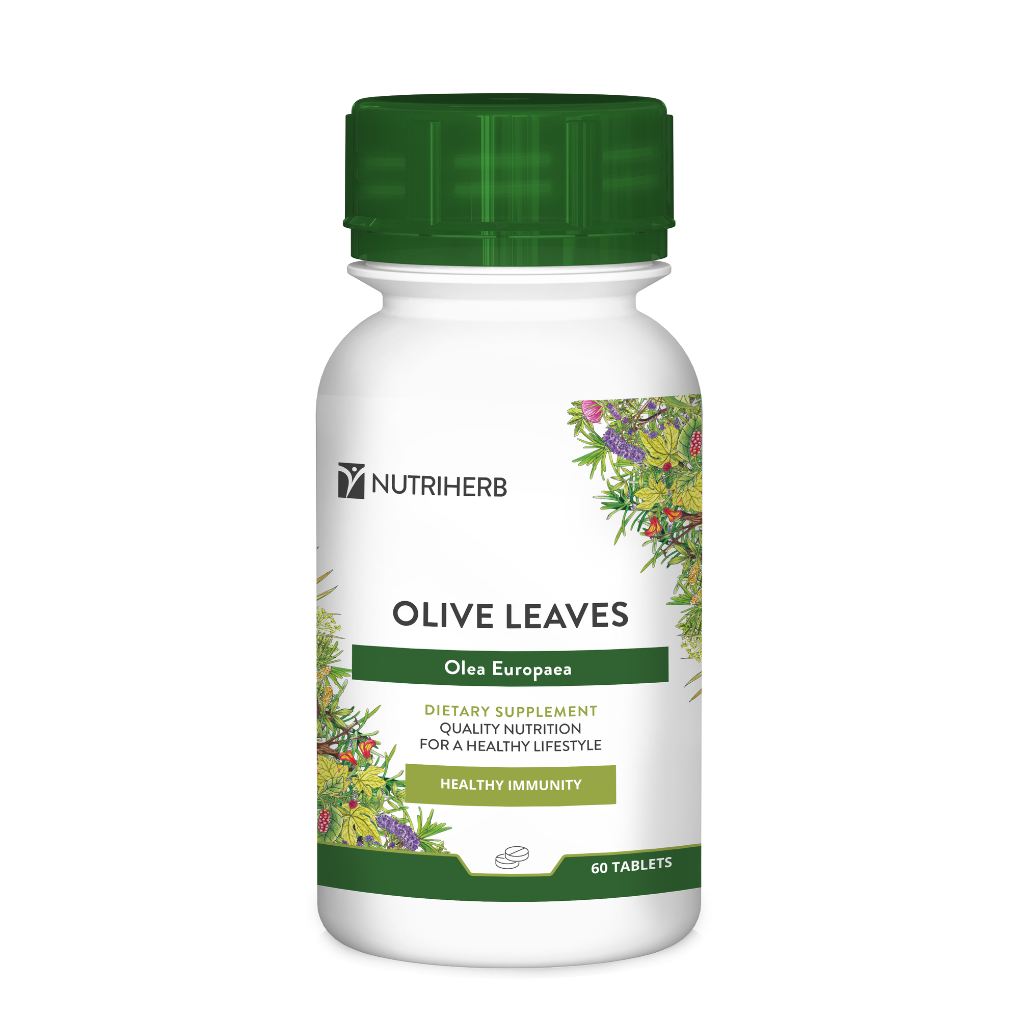 Olive Leaf