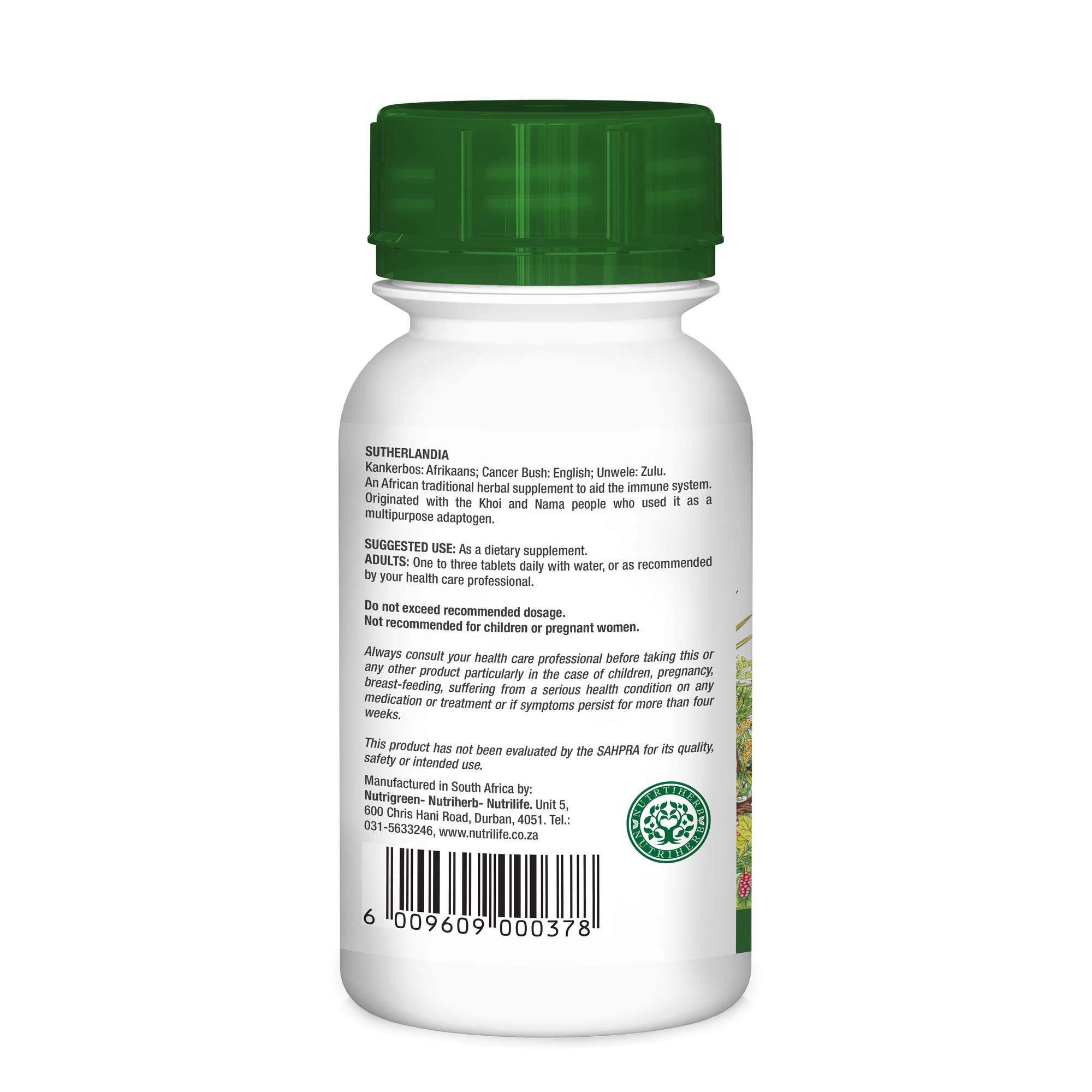 Sutherlandia