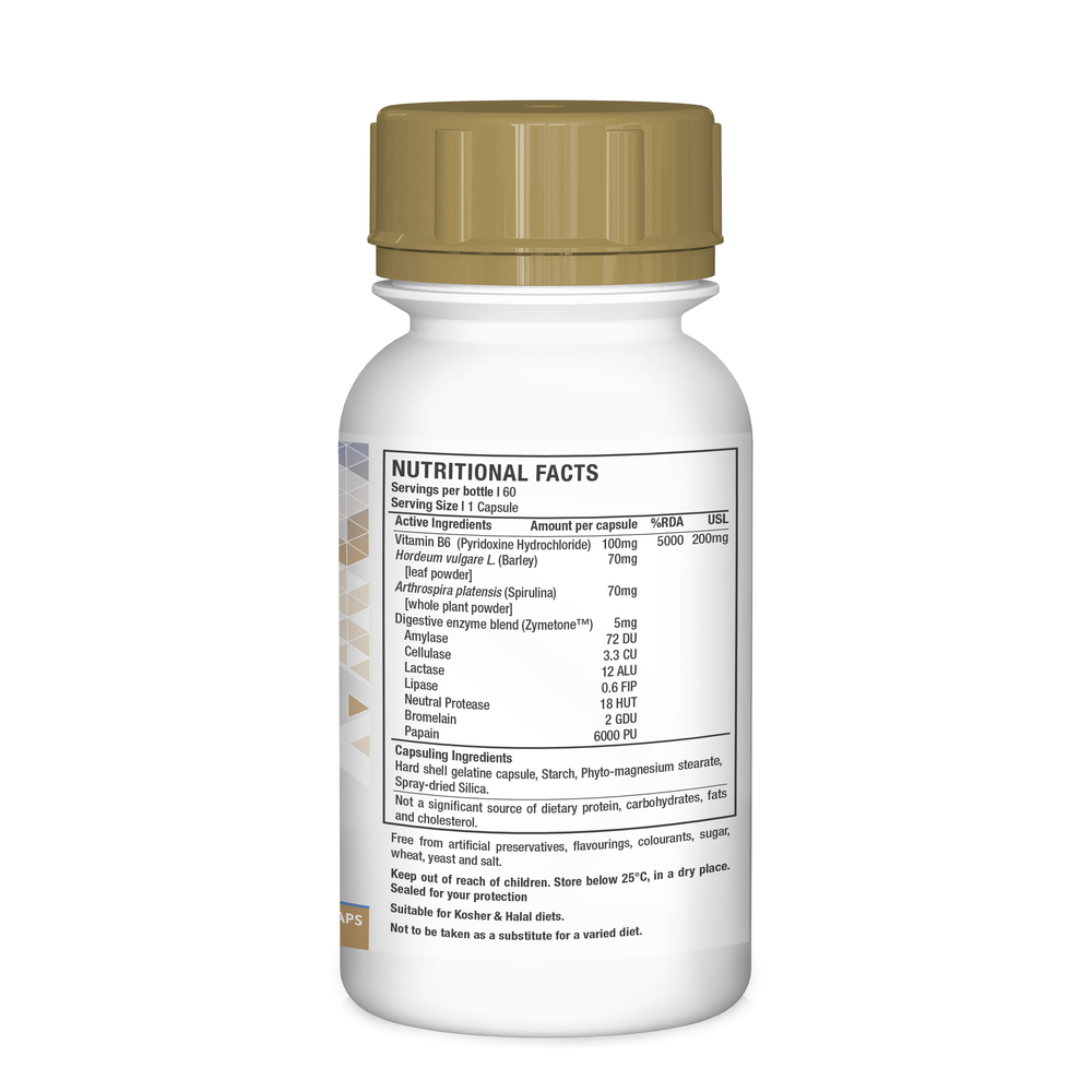 Vitamin B6 Pyridoxine